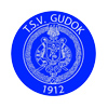 TSV Gudok
